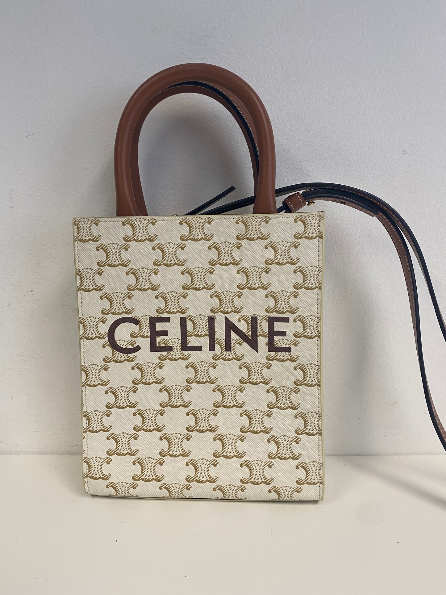 Triomphe Canvas Calfskin Mini Vertical Cabas