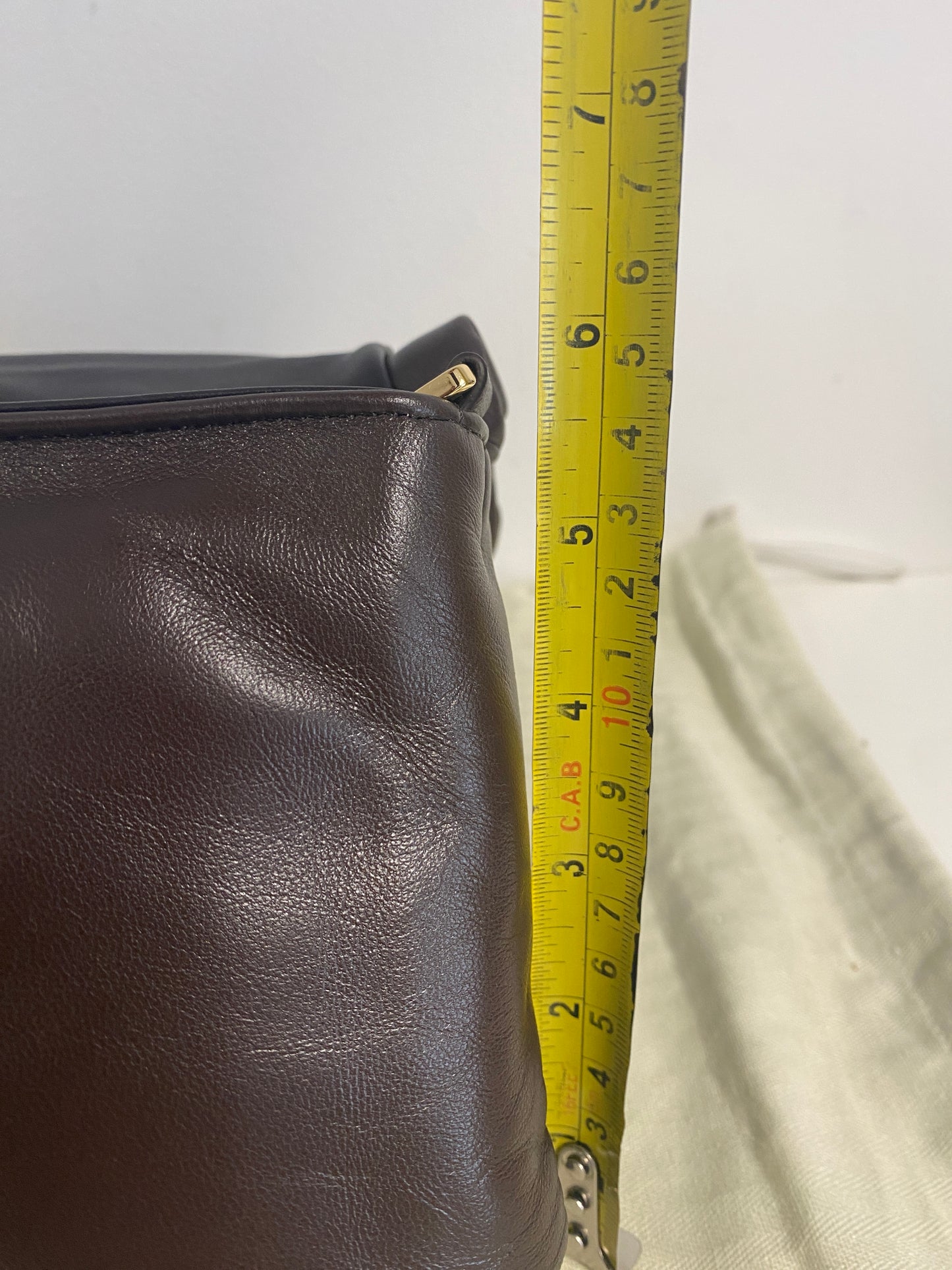 LOEWE Lambskin Goya Puffer Bag in Dark Chocolate.