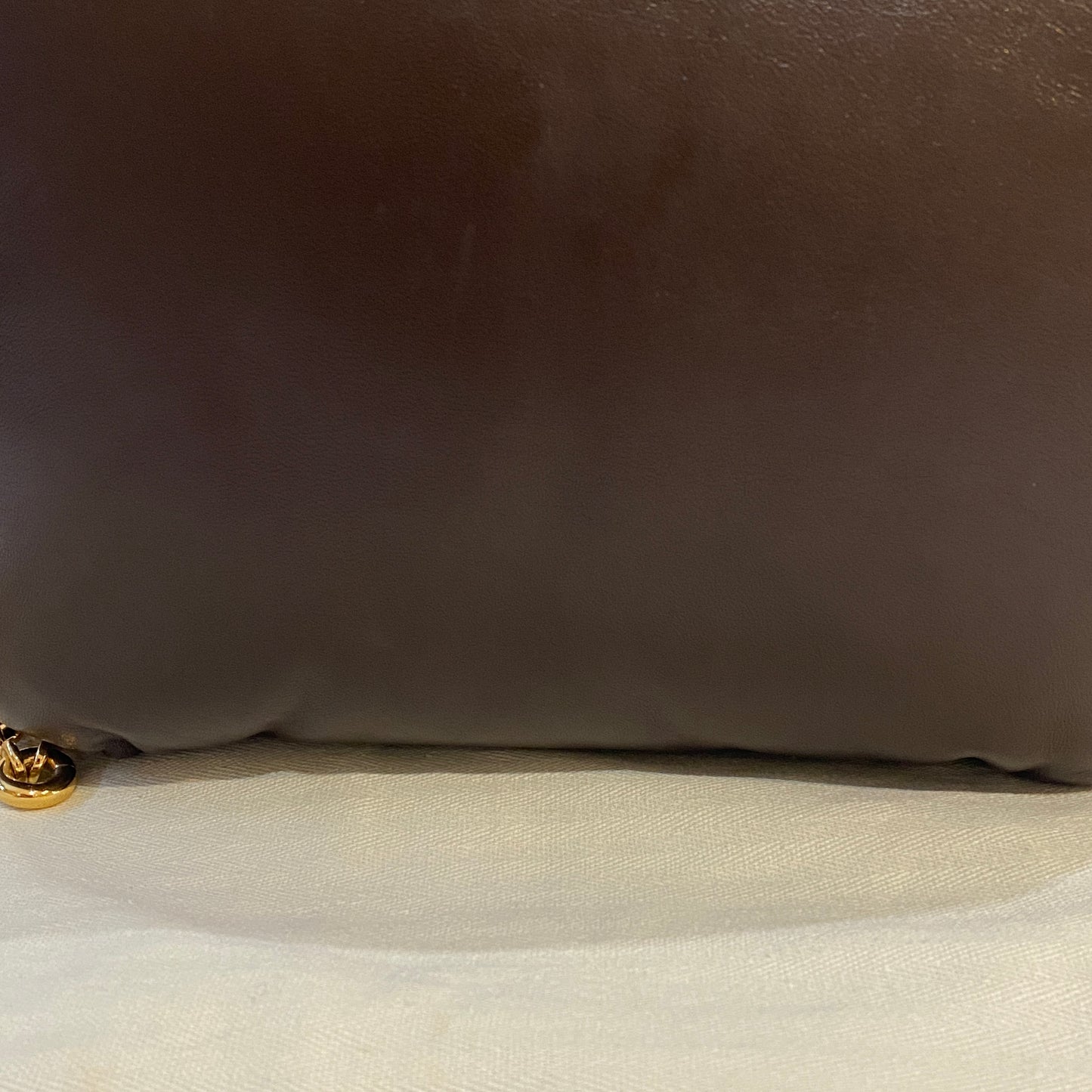 Loewe chocolate Goya puffer leather bag