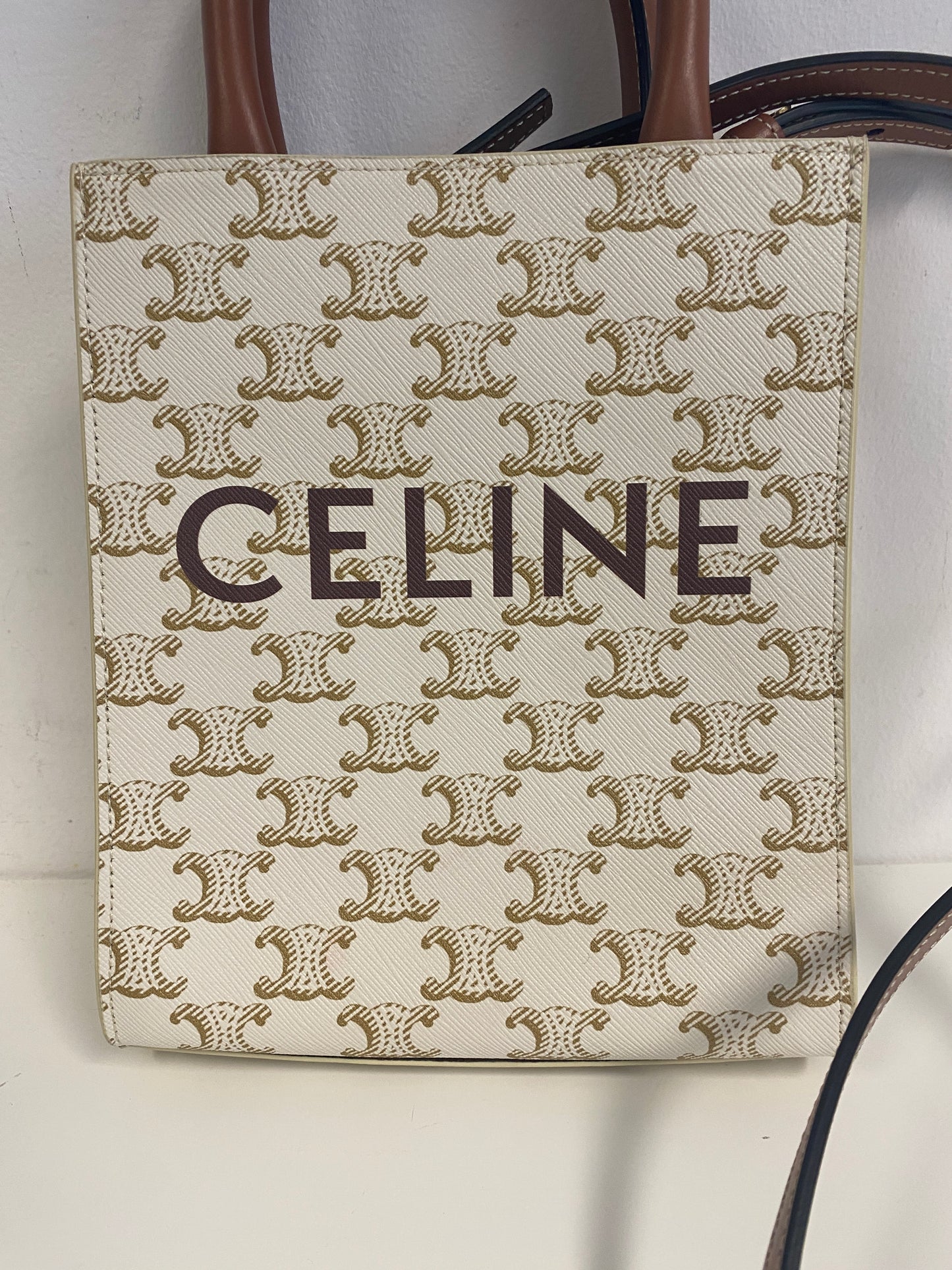 Triomphe Canvas Calfskin Mini Vertical Cabas