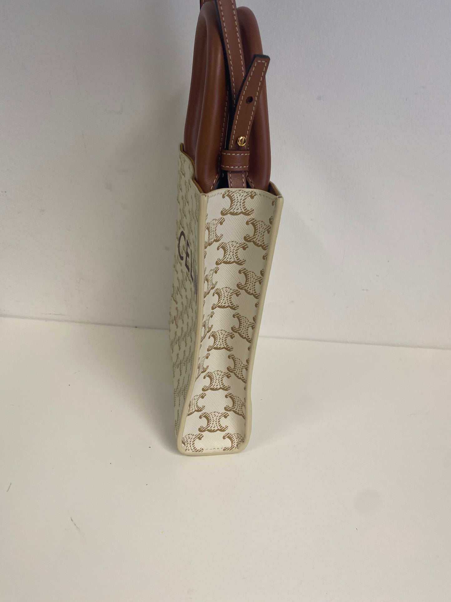 Triomphe Canvas Calfskin Mini Vertical Cabas