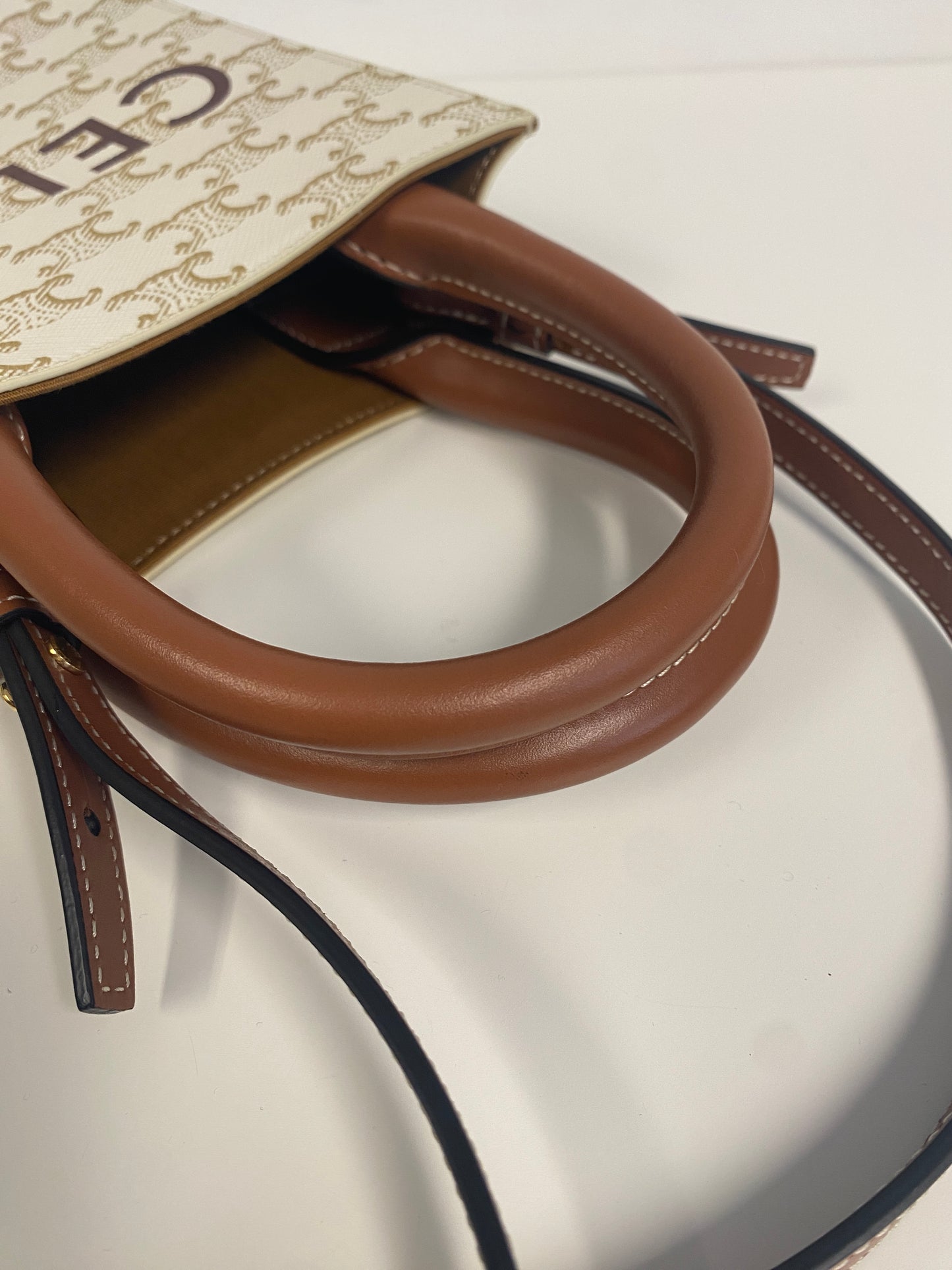 Triomphe Canvas Calfskin Mini Vertical Cabas