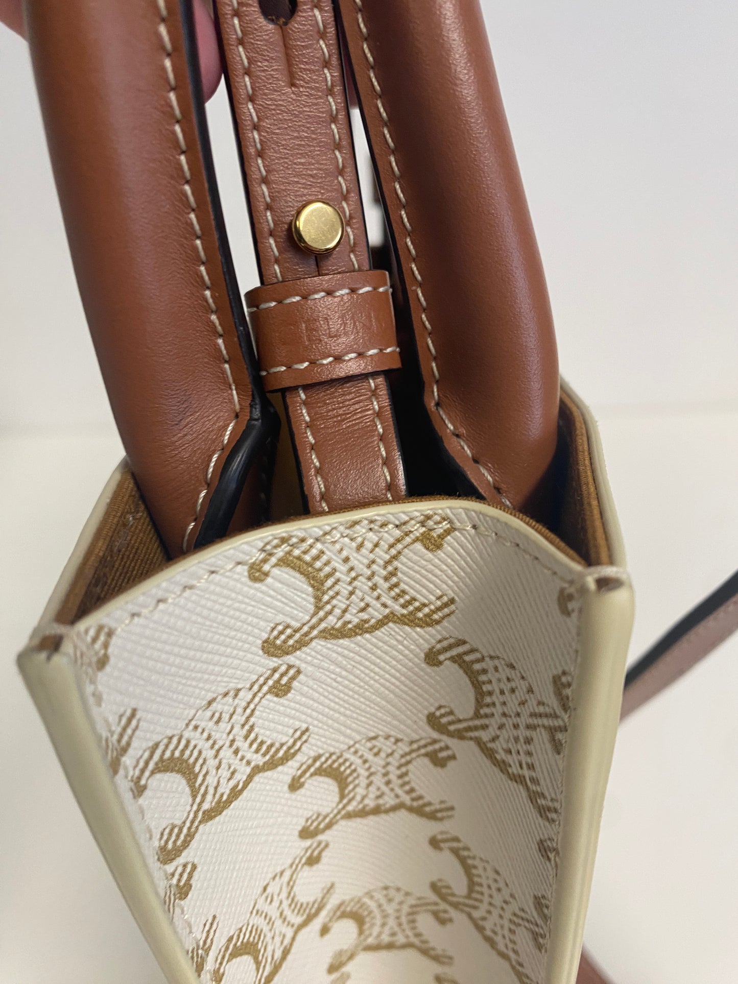 Triomphe Canvas Calfskin Mini Vertical Cabas