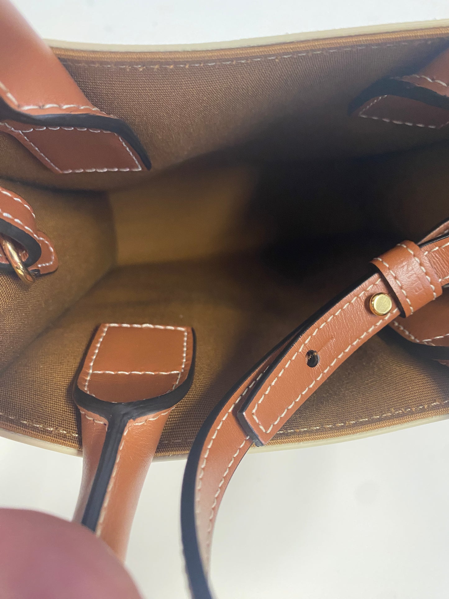 Triomphe Canvas Calfskin Mini Vertical Cabas