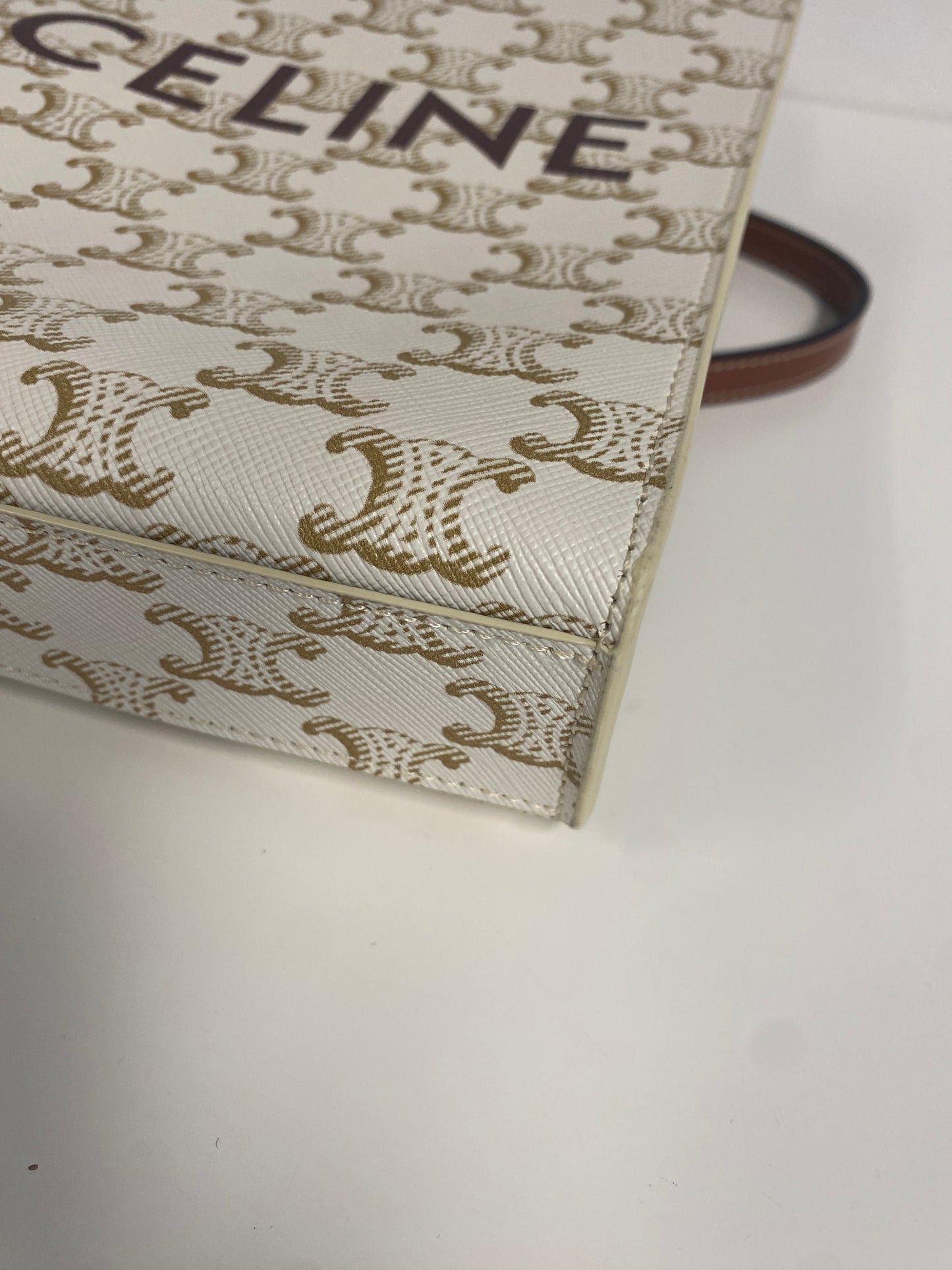 Triomphe Canvas Calfskin Mini Vertical Cabas